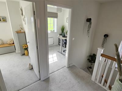Picture 29